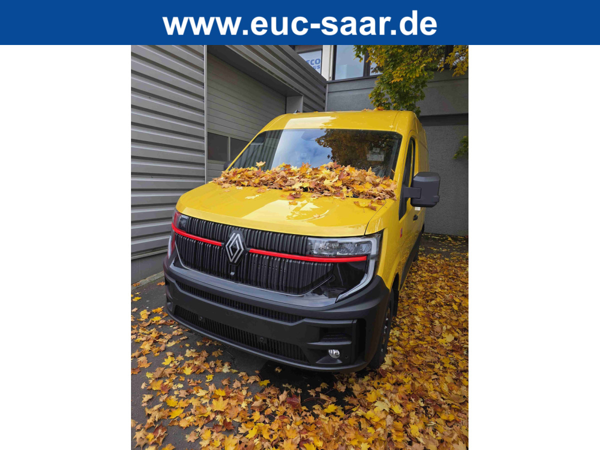 Renault Master 170 AT9 L2H2 LuftFeder./Holz/270°