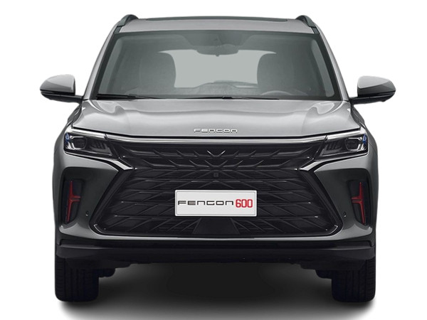 DFSK Fengon 600 1.5 TRUBO LUXURY 2