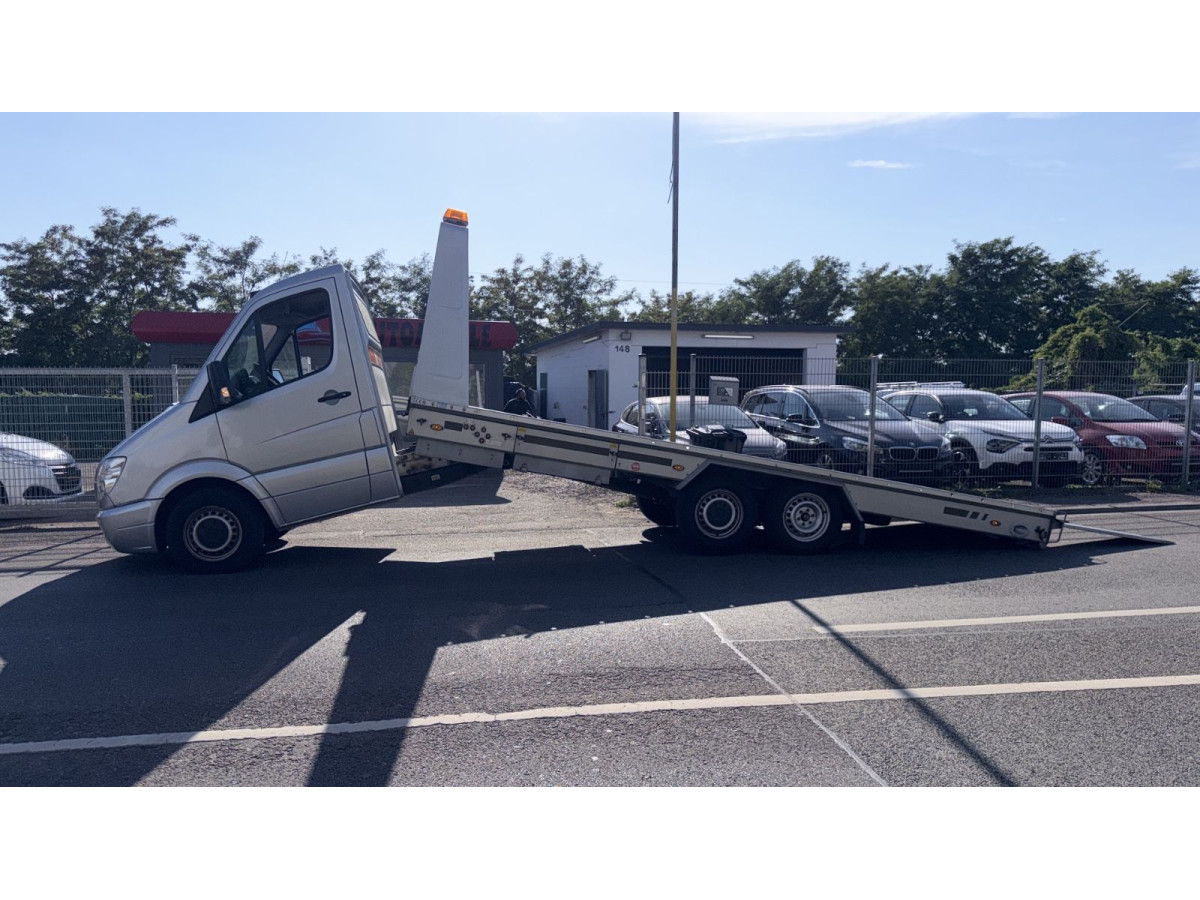 Mercedes-Benz  Sprinter II 319 CDI / Algema /