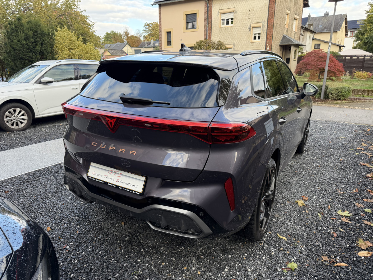 Cupra Terramar VZ 265 Tfsi 4Drive Full