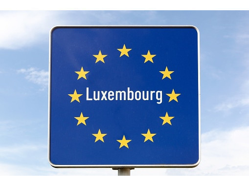 Immatriculation Véhicule / Car Registration