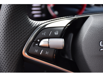 Skoda Fabia 1.0 TSI Monte Carlo DSG