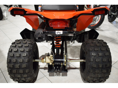 Can-Am DS 250 RED 4T