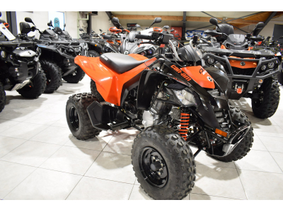 Can-Am DS 250 RED 4T
