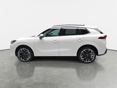Cupra Terramar 2.0 TSI DSG 265 VZ 4Drive