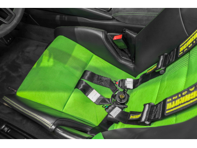Porsche 991 .2 GT3 RS PDK - LIZARD GREEN