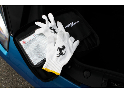 Ferrari 488 Spider SPIDER | CARBONE | BLU CORSA | TORTORA