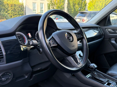 Skoda Kodiaq Kodiaq Style 4x4 2.0 179 PS/DSG/Navi/Leder/Xenon