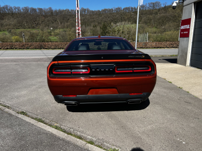 Dodge Challenger 6.4 Scatpack Widebody LAST CALL