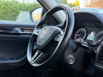 Skoda Kodiaq Kodiaq Style 4x4 2.0 179 PS/DSG/Navi/Leder/Xenon