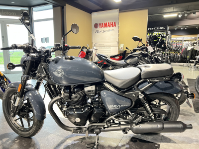 Royal Enfield Shotgun 650 sheetmetal grey