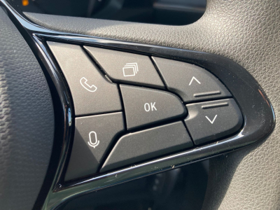 Renault Master 2.0 dCi 170 BVA9 L2H2 Extra