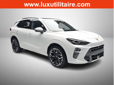 Cupra Terramar 2.0 TSI DSG 265 VZ 4Drive