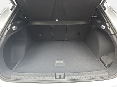 Cupra Terramar 2.0 TSI DSG 265 VZ 4Drive