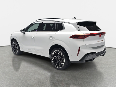 Cupra Terramar 2.0 TSI DSG 265 VZ 4Drive