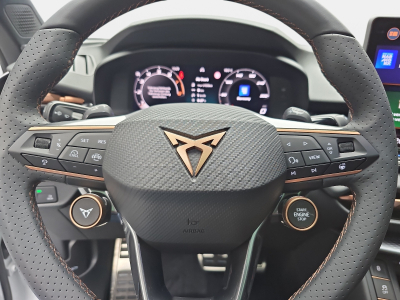 Cupra Terramar 2.0 TSI DSG 265 VZ 4Drive