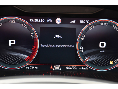 Skoda Fabia 1.0 TSI Monte Carlo DSG