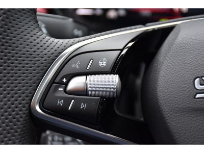 Skoda Fabia 1.0 TSI Monte Carlo DSG