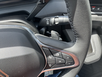 Renault Master 150 AT9 L2H2 AHK/Holz/360°