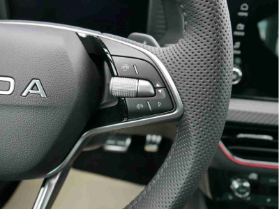 Skoda Kamiq 1.5 TSi 150 DSG Monte Carlo