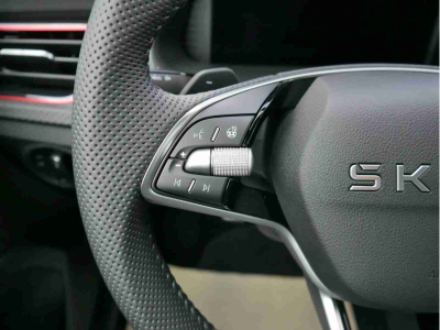 Skoda Kamiq 1.5 TSi 150 DSG Monte Carlo