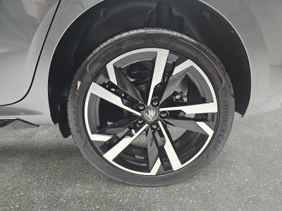 Skoda Kamiq 1.5 TSi 150 DSG Monte Carlo