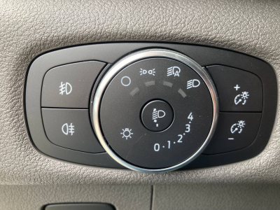 Ford Transit 2.0 ECOBLUE 165  L2H2 4x4 TREND