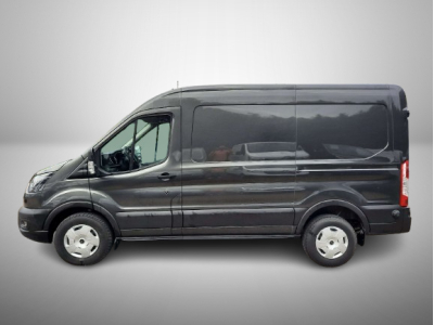 Ford Transit 2.0 TDCi 165 L2H2 4x4 Trend AHK/270° Türen