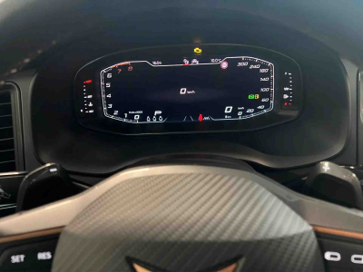 Cupra Ateca 2.0 TSi DSG 190 4x4