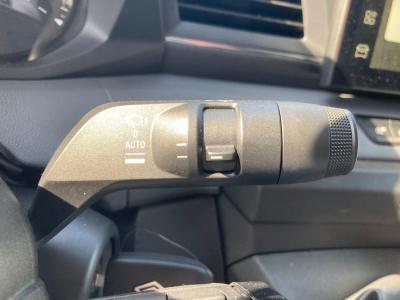 Renault Master 2.0 dCi 170 BVA9 L2H2 Extra