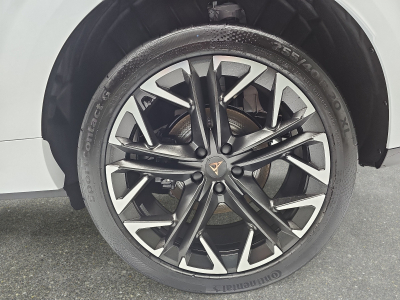 Cupra Terramar 2.0 TSI DSG 265 VZ 4Drive