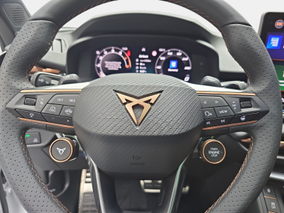 Cupra Terramar 2.0 TSI DSG 265 VZ 4Drive