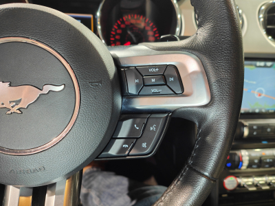 Ford Mustang GT 5.0 V8 CUIR CLIMATISATION GPS CAMERA