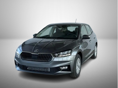 Skoda Fabia 1.0 TSi 110 DSG Selection