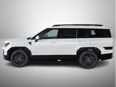 Hyundai Santa Fe 1.6 T-GDI PHEV 258 DCT Calligraphy