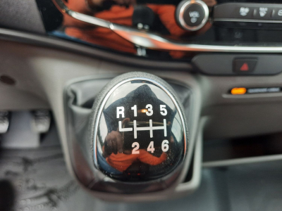 Ford Transit 2.0 TDCi 165 L2H2 4x4 Trend AHK/270° Türen