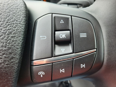 Ford Transit 2.0 TDCi 165 L2H2 4x4 Trend AHK/270° Türen