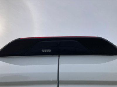 Ford Transit 2.0 TDCi 165 L2H2 4x4 Trend AHK/270° Türen