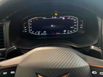 Cupra Ateca 2.0 TSi DSG 190 4x4