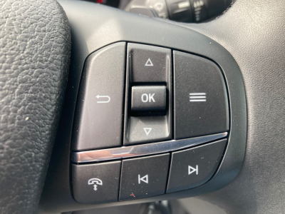 Ford Transit 2.0 ECOBLUE 165  L3H2 4x4 TREND