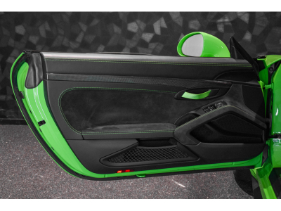 Porsche 991 .2 GT3 RS PDK - LIZARD GREEN