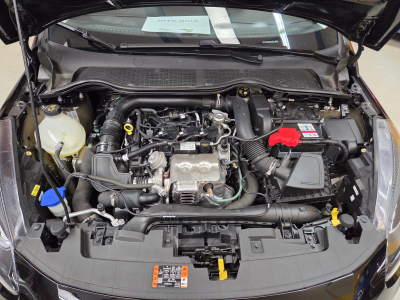 Ford Fiesta 1.0i EcoBoost 100CV Trend