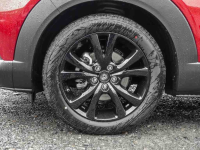 Mazda CX-30 2.5 E-Skyactiv G 140 Homura