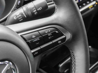 Mazda CX-30 2.5 E-Skyactiv G 140 Homura