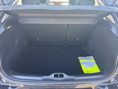 Citroën C4 Cactus 1.5 BLUE-HDI 120CV AUTO