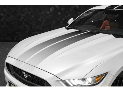 Ford Mustang GT Coupé 5.0 V8