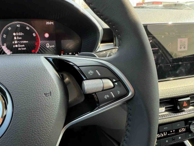 Skoda Fabia 1.0 TSi 110 DSG Selection