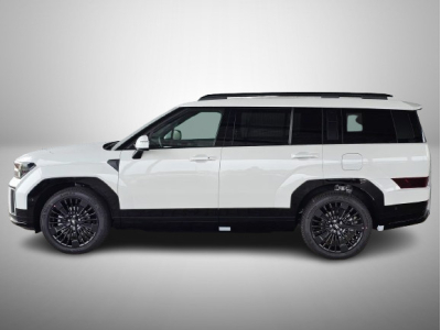 Hyundai Santa Fe 1.6 T-GDI PHEV 258 DCT Calligraphy