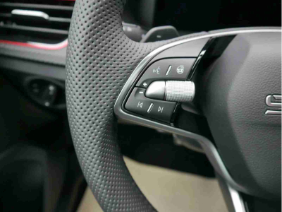 Skoda Kamiq 1.5 TSi 150 DSG Monte Carlo