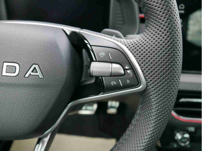 Skoda Kamiq 1.5 TSi 150 DSG Monte Carlo